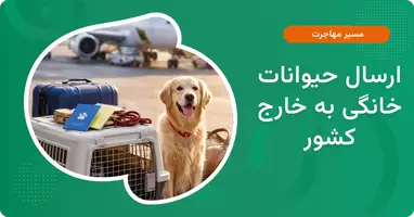 ارسال حیوانات خانگی به خارج کشور