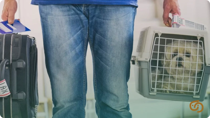 ارسال حیوانات خانگی به خارج کشور با مسافر