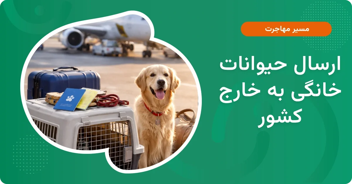 ارسال حیوانات خانگی به خارج کشور